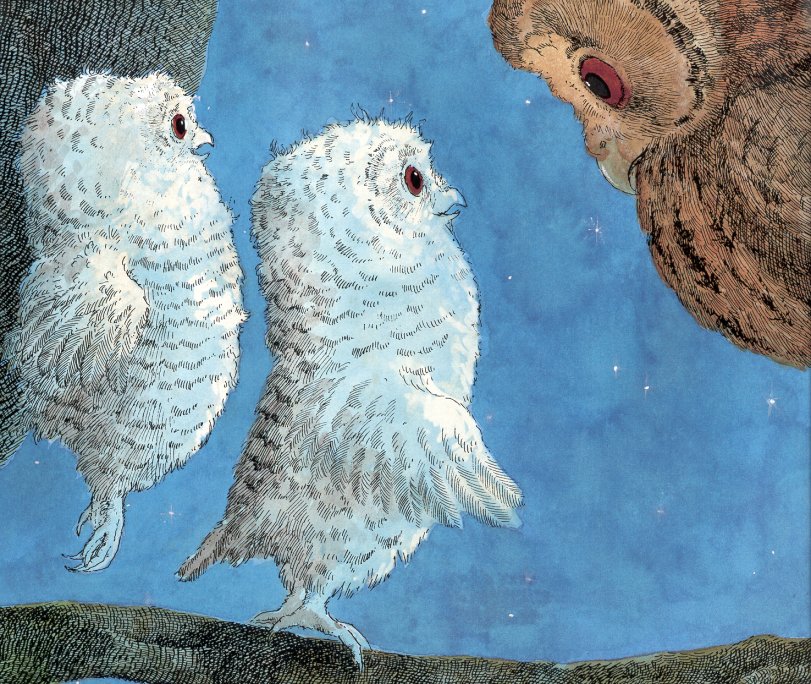 owl babies (10),绘本,绘本故事,绘本阅读,故事书,童书,图画书,课外阅读